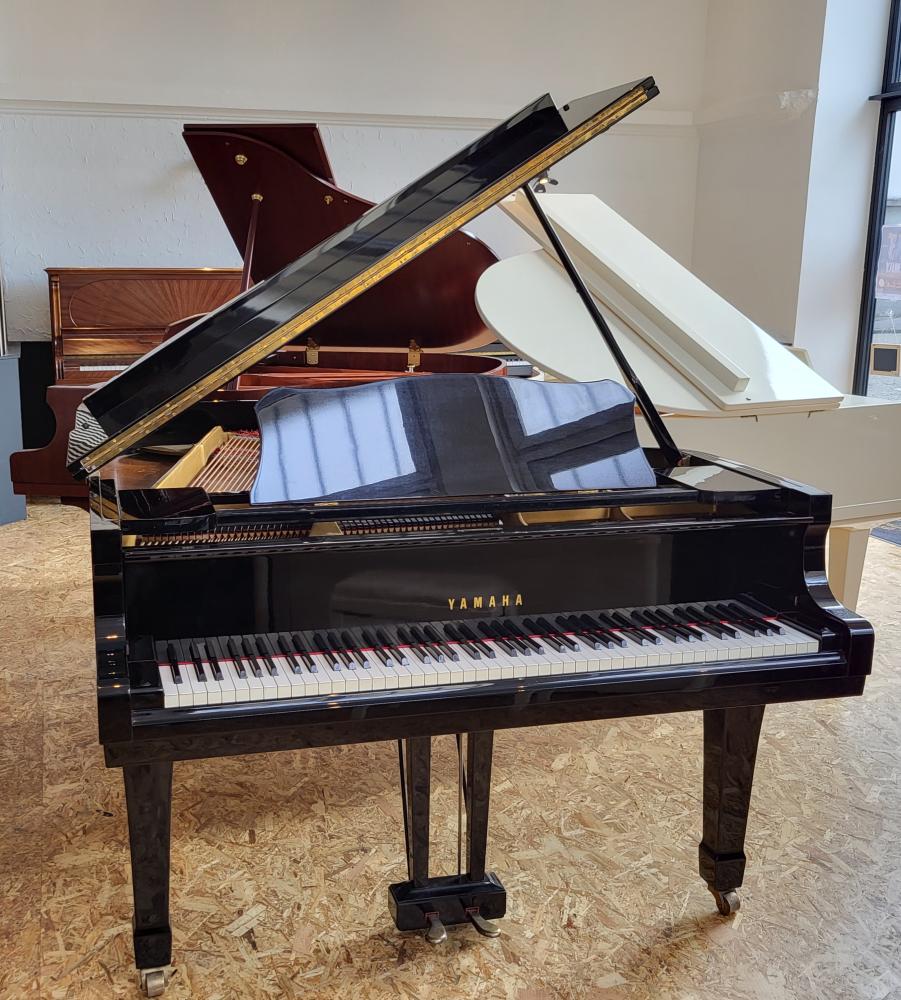 YAMAHA G3 0210