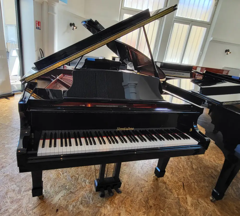Wendl und Lung - 178 Professional 2